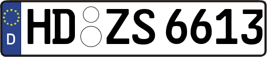 HD-ZS6613