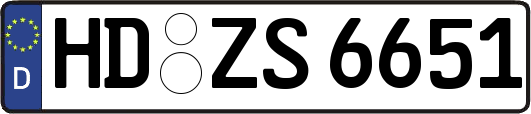 HD-ZS6651