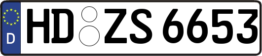 HD-ZS6653