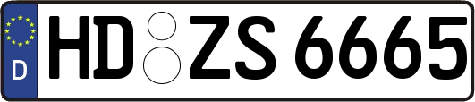 HD-ZS6665