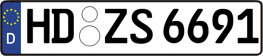 HD-ZS6691