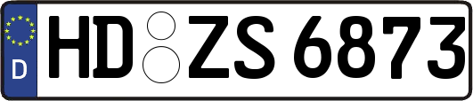 HD-ZS6873