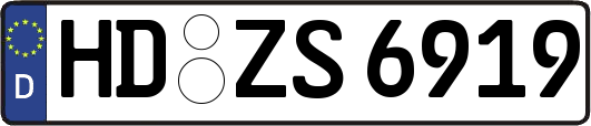 HD-ZS6919