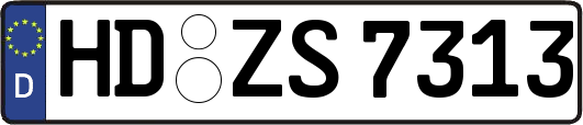 HD-ZS7313