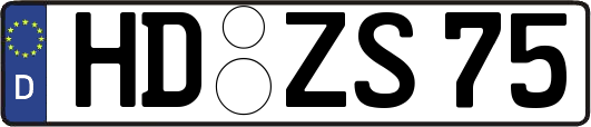 HD-ZS75