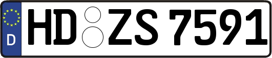 HD-ZS7591