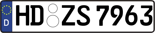 HD-ZS7963