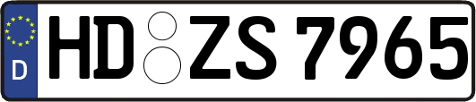 HD-ZS7965