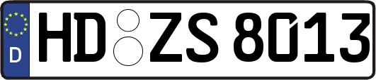 HD-ZS8013