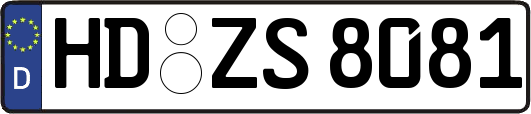 HD-ZS8081