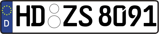 HD-ZS8091