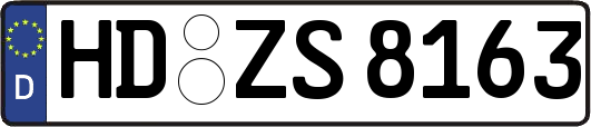 HD-ZS8163
