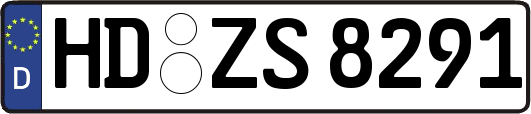 HD-ZS8291