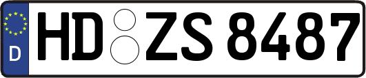 HD-ZS8487