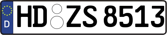 HD-ZS8513