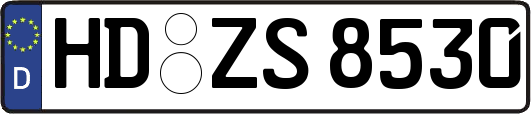 HD-ZS8530