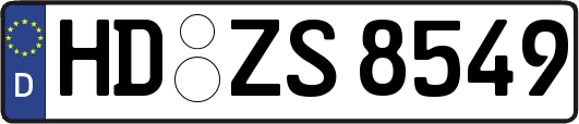 HD-ZS8549
