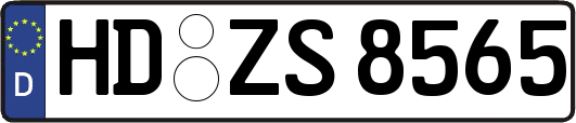 HD-ZS8565