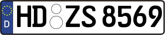 HD-ZS8569
