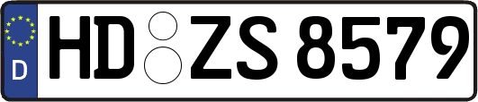 HD-ZS8579