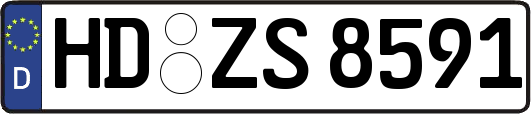 HD-ZS8591