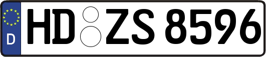 HD-ZS8596