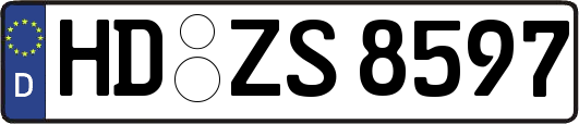 HD-ZS8597