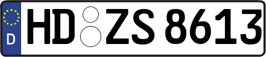 HD-ZS8613