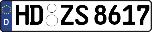 HD-ZS8617