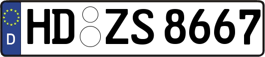 HD-ZS8667