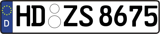 HD-ZS8675