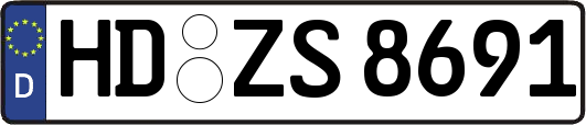HD-ZS8691