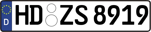 HD-ZS8919