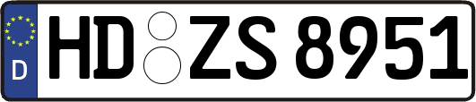 HD-ZS8951