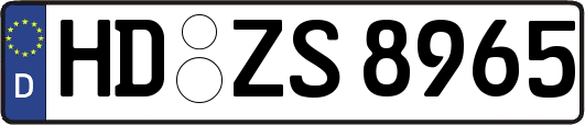 HD-ZS8965
