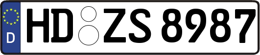 HD-ZS8987