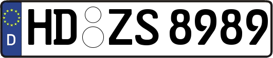 HD-ZS8989