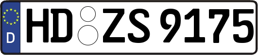 HD-ZS9175