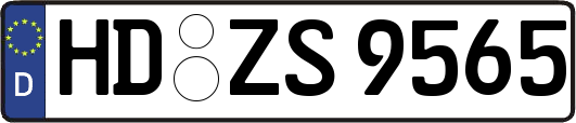 HD-ZS9565