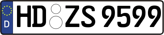 HD-ZS9599