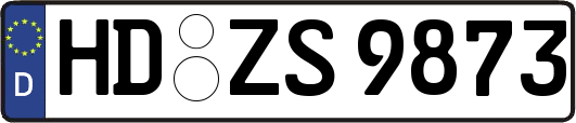 HD-ZS9873