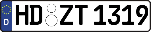 HD-ZT1319