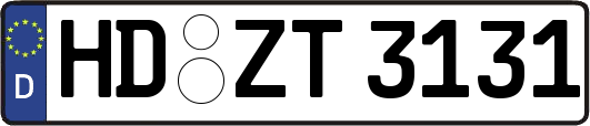 HD-ZT3131