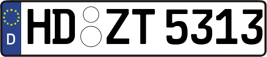 HD-ZT5313