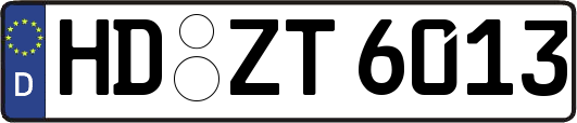 HD-ZT6013
