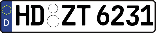 HD-ZT6231