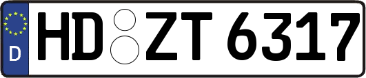 HD-ZT6317