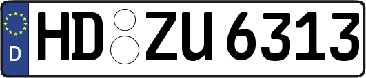 HD-ZU6313