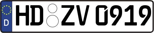 HD-ZV0919