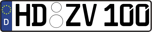 HD-ZV100